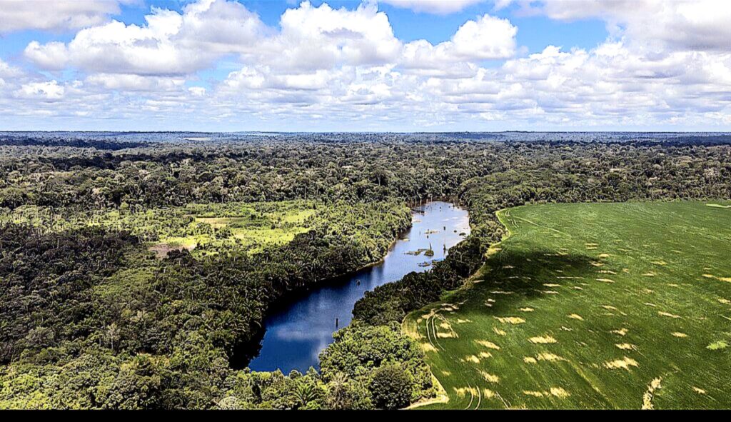 Vista da Floresta Amazônica