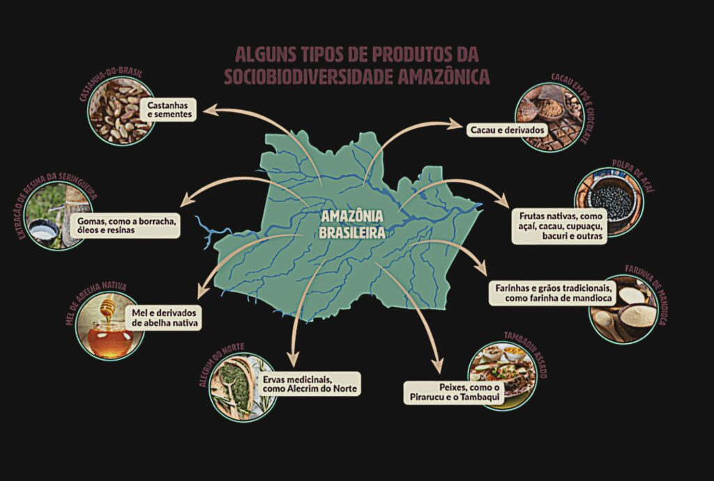 Commodities amazônicas com floresta em pé 