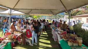 feira livre contendo toldo, bancas, produtos dispostos nas bancadas e pessoas comprando