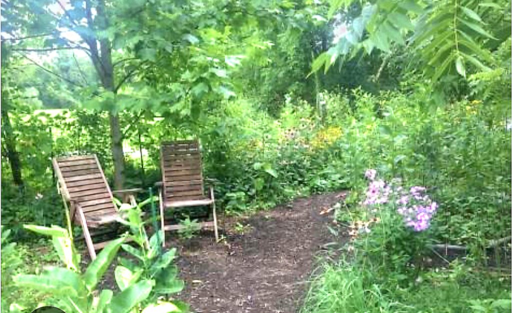 Duas cadeiras de madeira em meio a um caminho de terra com várias plantas