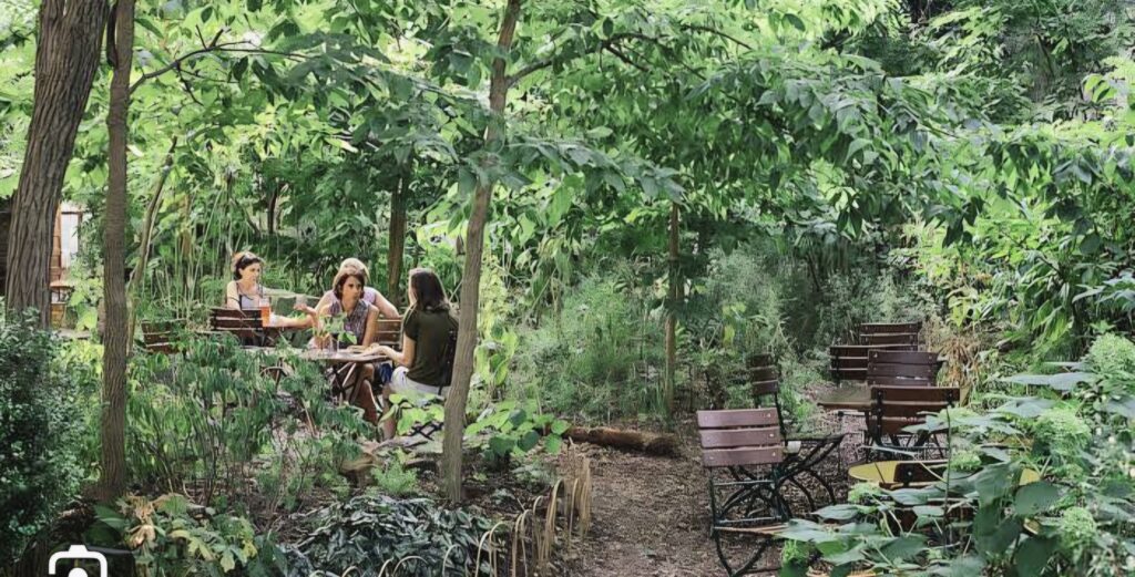 Pessoas conversando em meio a jardim com plantas naturais e locais