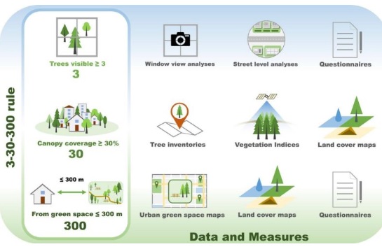 principio da métrica em arborização 3x30x300